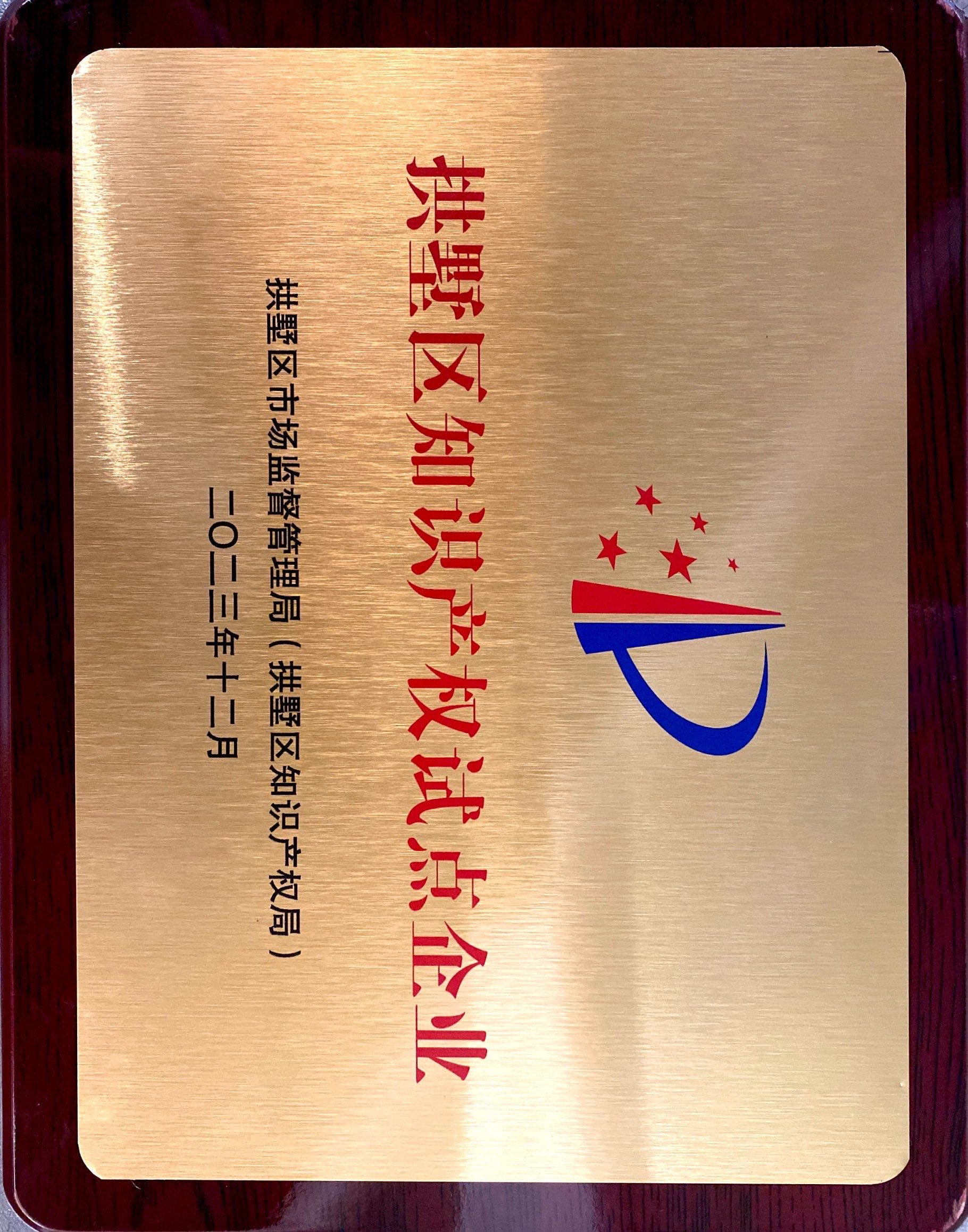 知识产权试点企业